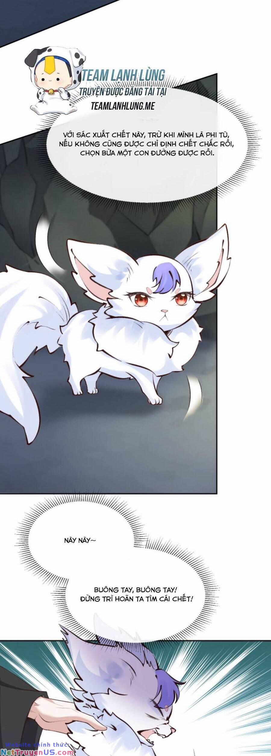 Sau Khi Không Ngừng Tìm Đường Chết, Ta Trở Thành Đế Tôn Vạn Người Mê 94 trang 11