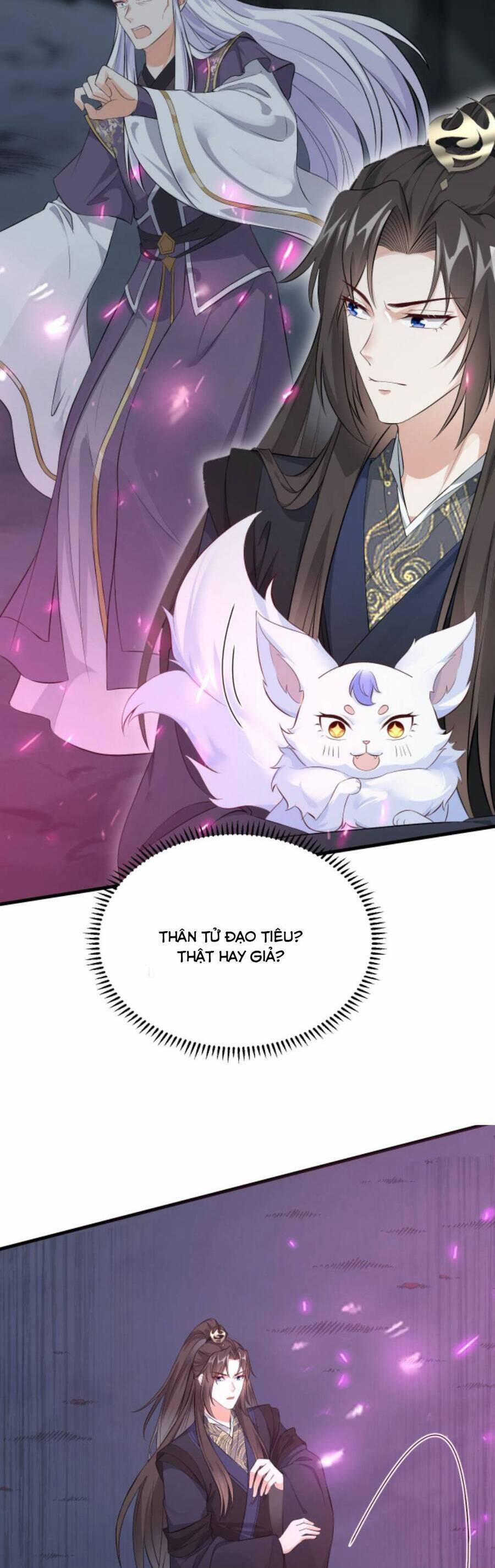 Sau Khi Không Ngừng Tìm Đường Chết, Ta Trở Thành Đế Tôn Vạn Người Mê 95 trang 8