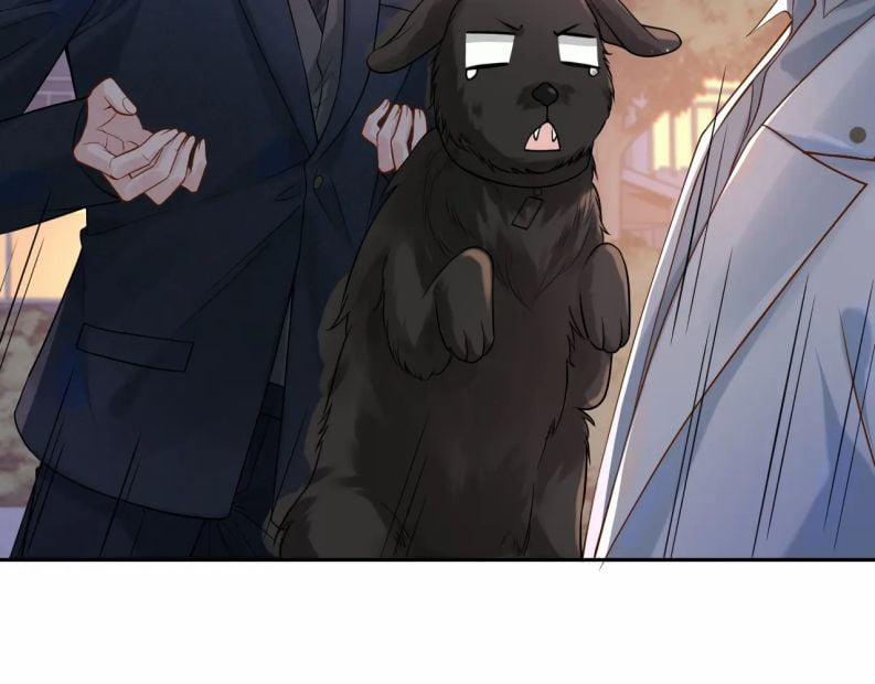 Sau Khi Ly Hôn Ảnh Đế Ngày Ngày Nhặt Rác 7 trang 10