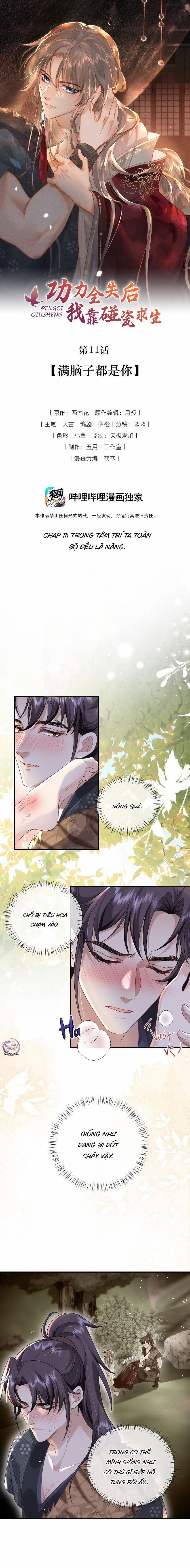 Sau Khi Mất Hết Công Lực, Ta Được Tên Ngốc Nuôi (END) 11 trang 0