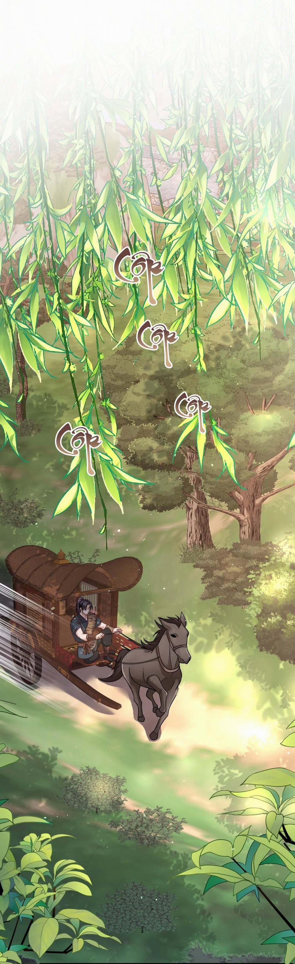 Sau Khi Mất Hết Công Lực, Ta Được Tên Ngốc Nuôi 6 trang 0