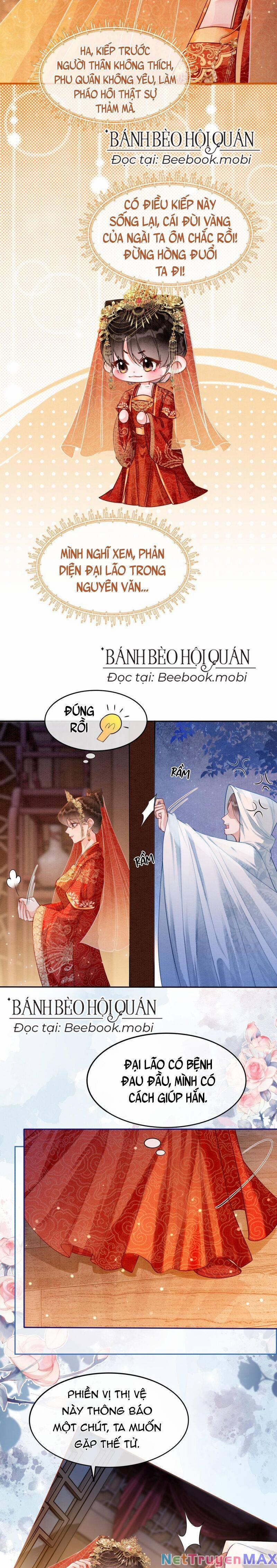 Sau Khi Nàng Bị Đánh Chết, Các Anh Trai Đều Hối Hận! 1 trang 11