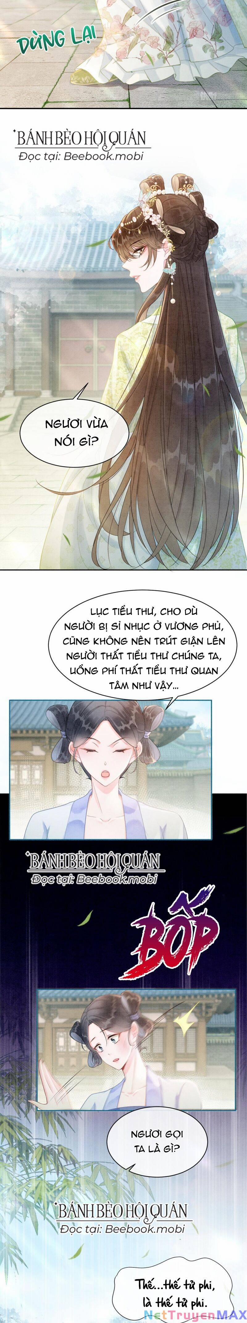 Sau Khi Nàng Bị Đánh Chết, Các Anh Trai Đều Hối Hận! 4 trang 4