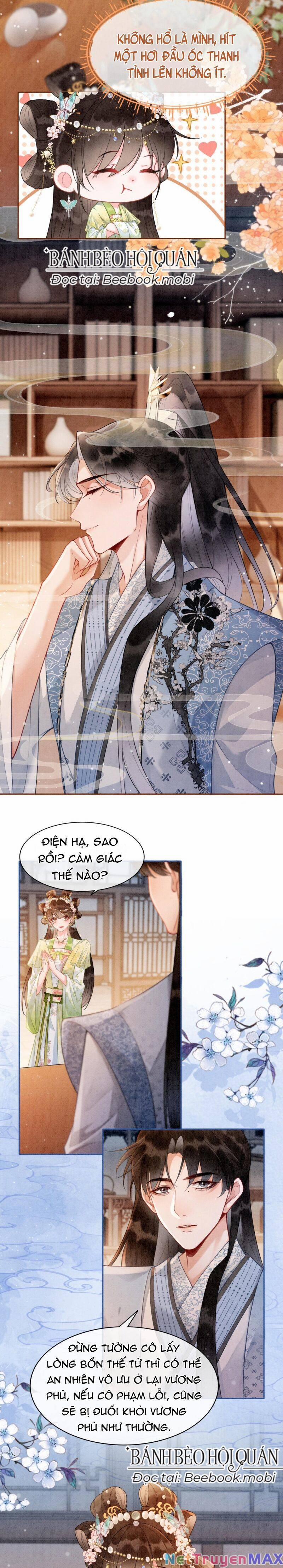 Sau Khi Nàng Bị Đánh Chết, Các Anh Trai Đều Hối Hận! 5 trang 3