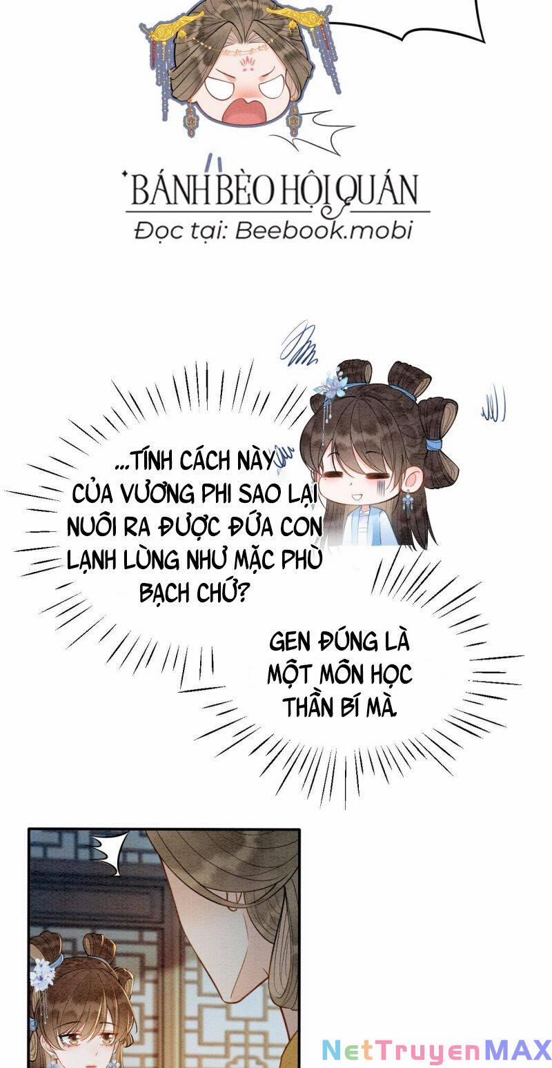 Sau Khi Nàng Bị Đánh Chết, Các Anh Trai Đều Hối Hận! 7 trang 17