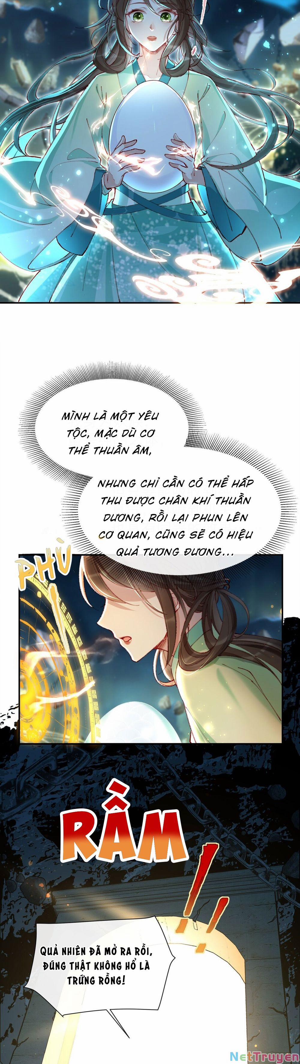 Sau Khi Nhặt Được Trứng Rồng, Ta Quyết Định Nuôi Hắn Trở Nên Xấu Xa 1 trang 6