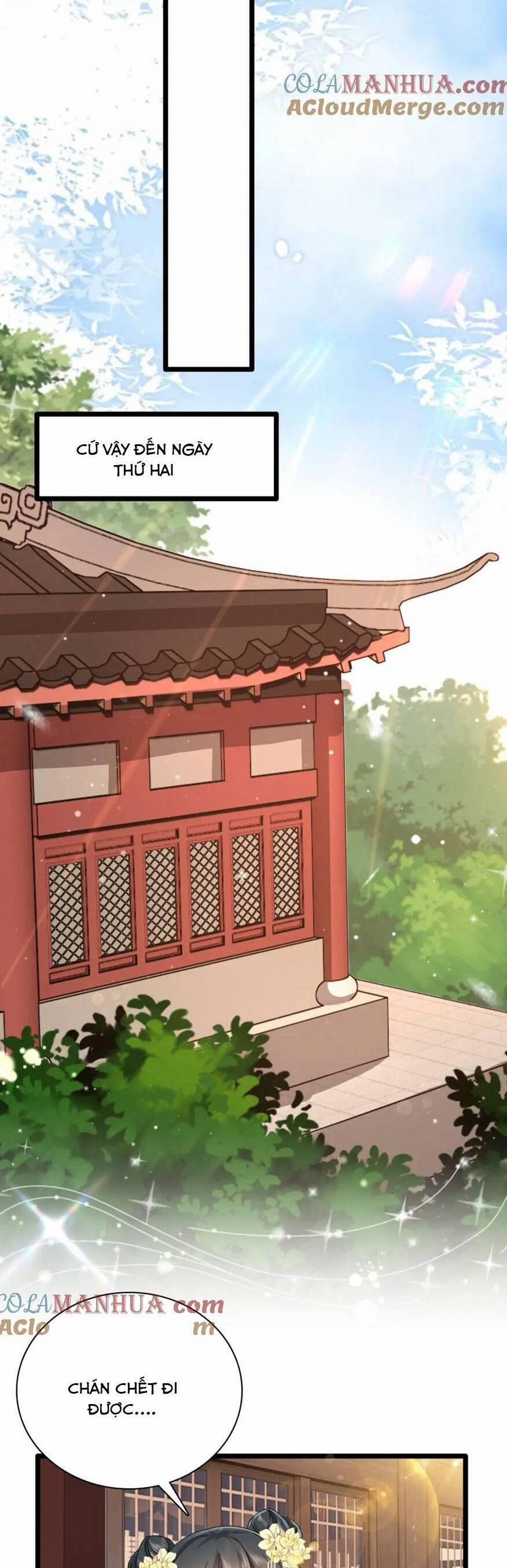 Sau Khi Sống Lại, Ta Trở Thành Kiều Thê Của Quyền Thần. 28 trang 10