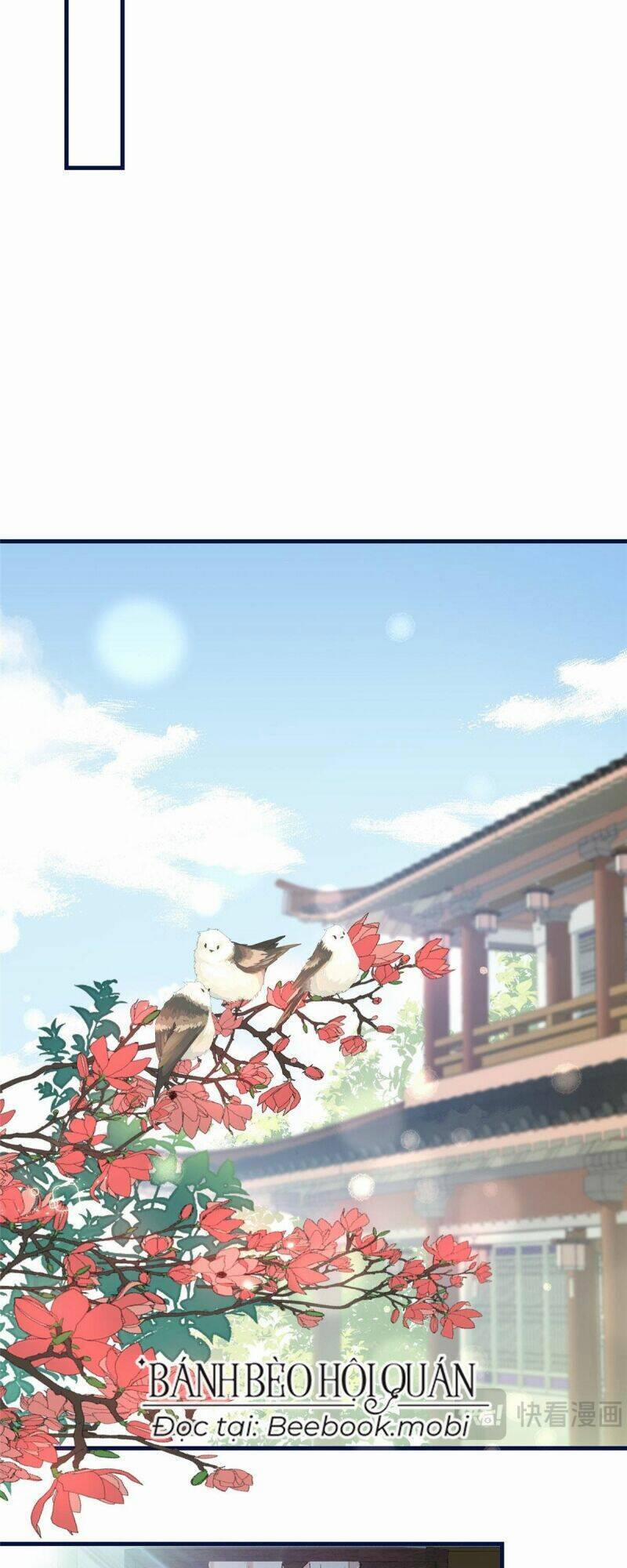 Sau Khi Sống Lại, Ta Trở Thành Kiều Thê Của Quyền Thần. 4 trang 13