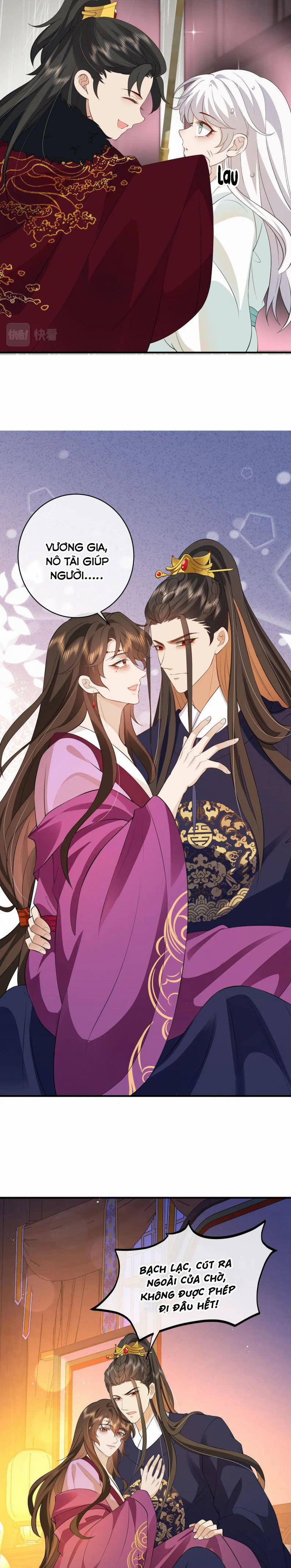 Sau Khi Ta Chết, Vương Gia Đau Không Thiết Sống 11 trang 5