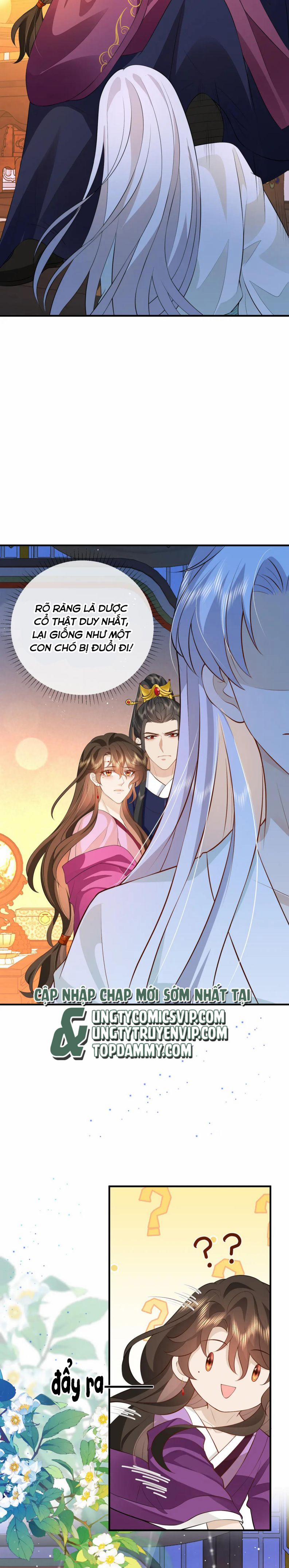 Sau Khi Ta Chết, Vương Gia Đau Không Thiết Sống 11 trang 6