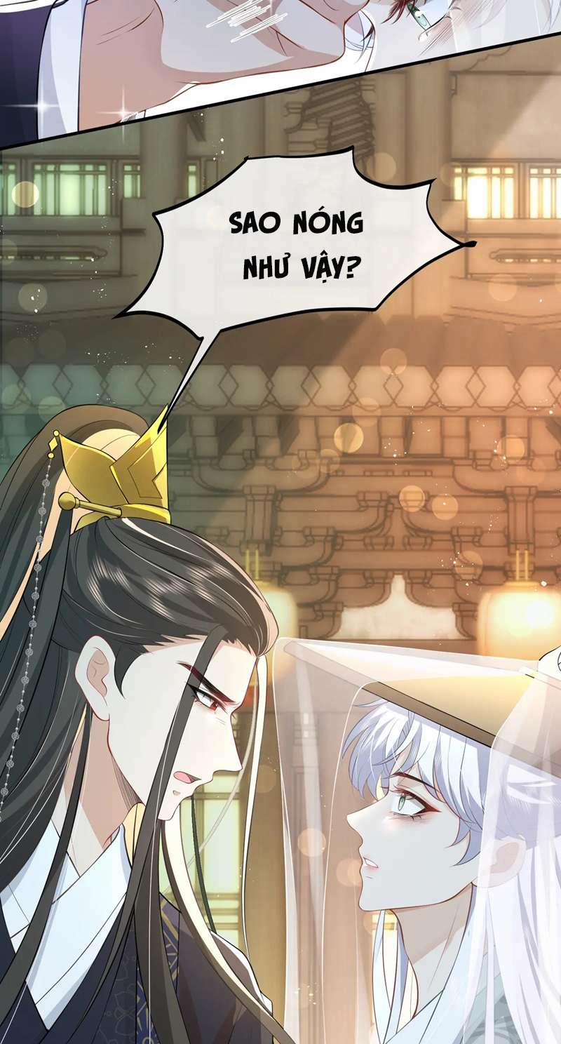 Sau Khi Ta Chết, Vương Gia Đau Không Thiết Sống 13 trang 11