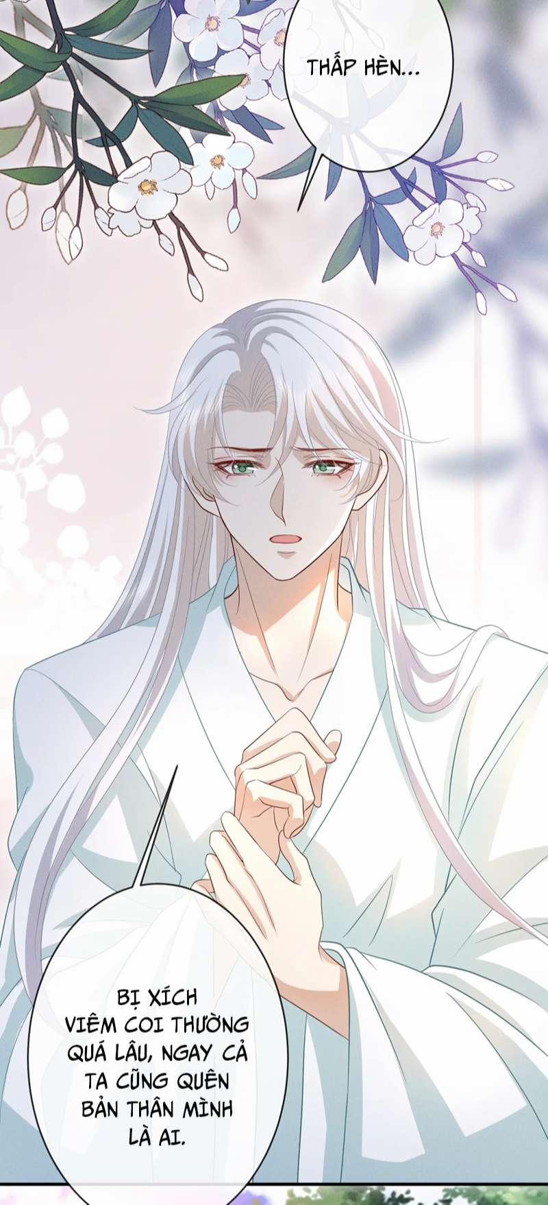 Sau Khi Ta Chết, Vương Gia Đau Không Thiết Sống 20 trang 8