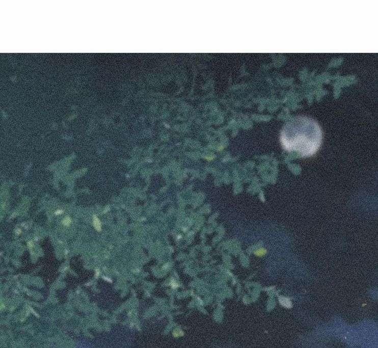 Sau Khi Ta Chết, Vương Gia Đau Không Thiết Sống 22 trang 33