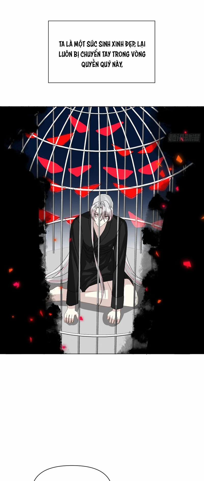 Sau Khi Trùng Sinh Thuần Phục Ác Đồ Hắc Liên Hoa 52 trang 20