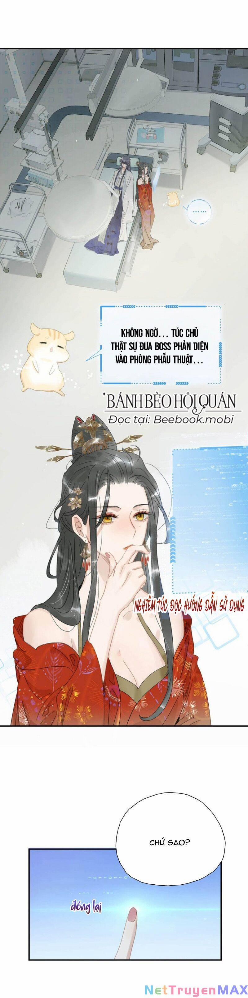 Sau Khi Xuyên Sách, 5 Nhân Cách Của Bạo Quân Đều Yêu Ta 11 trang 0