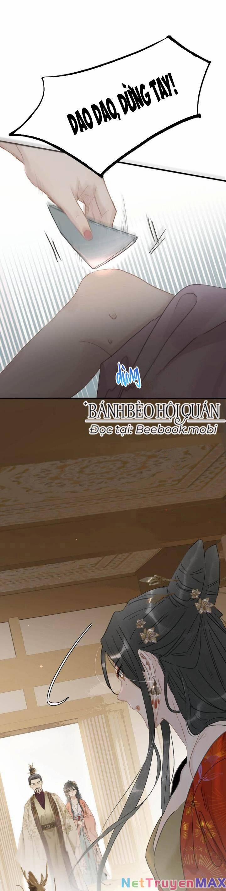 Sau Khi Xuyên Sách, 5 Nhân Cách Của Bạo Quân Đều Yêu Ta 19 trang 11