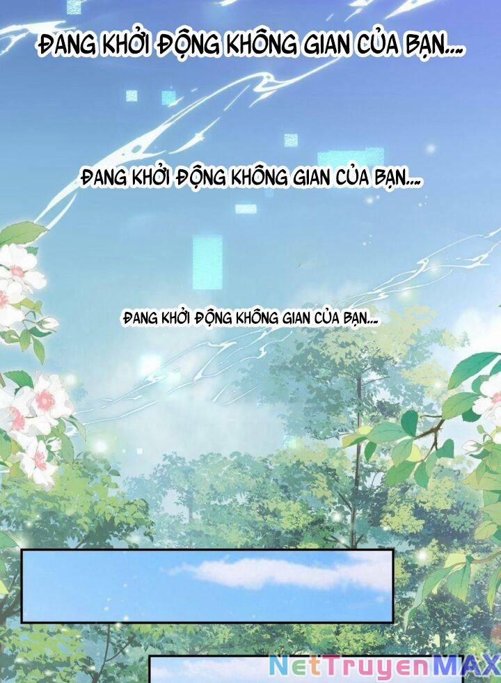 Sau Khi Xuyên Sách, 5 Nhân Cách Của Bạo Quân Đều Yêu Ta 3 trang 0