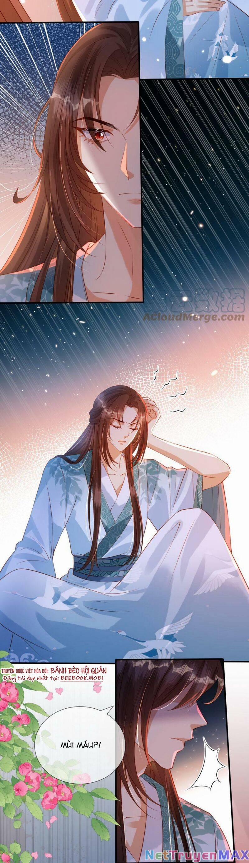 Sau Khi Xuyên Sách, 5 Nhân Cách Của Bạo Quân Đều Yêu Ta 8 trang 4