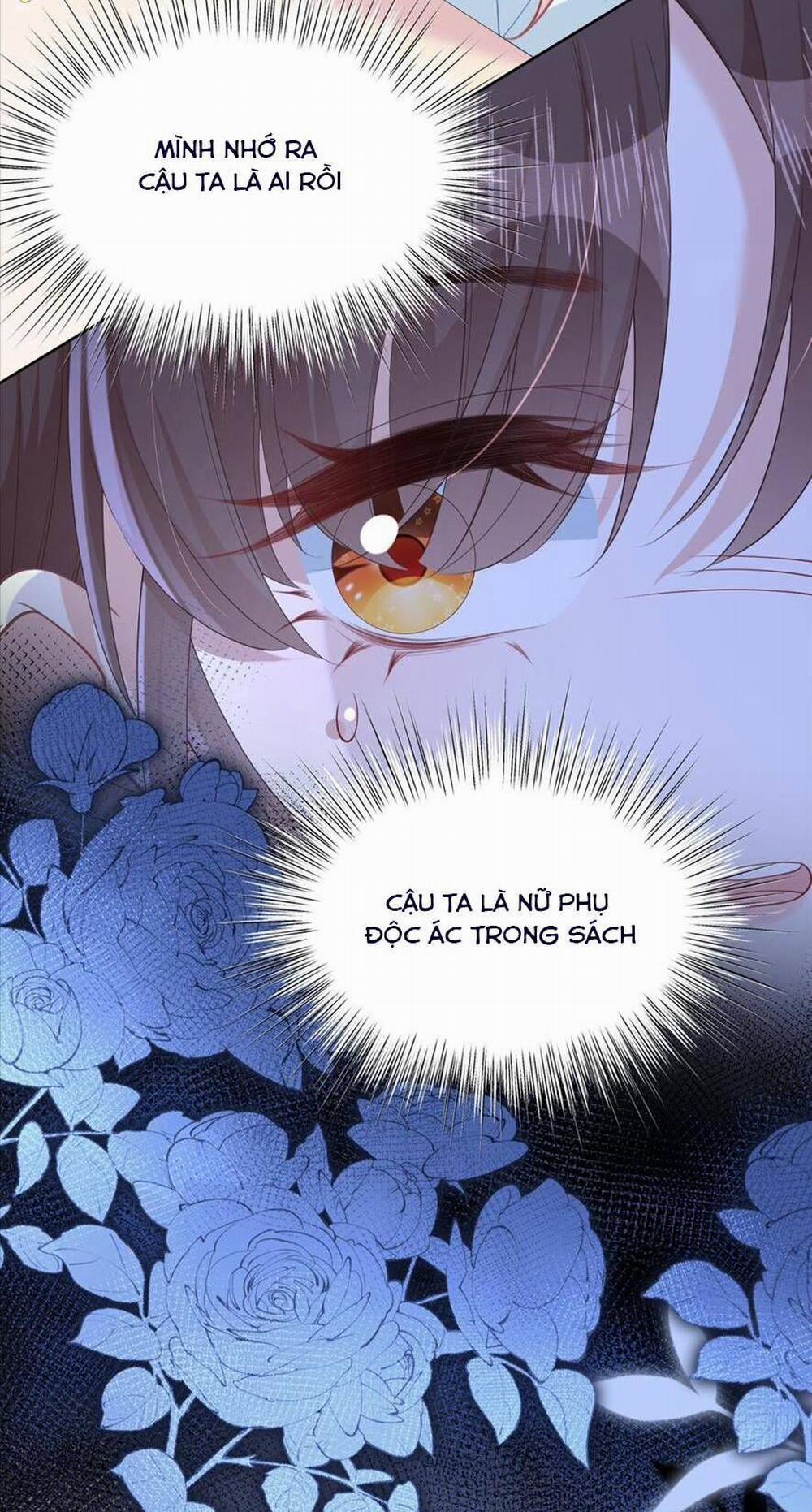 Sau Khi Xuyên Sách Tôi Còn Chẳng Phải Là Nữ Phụ 11 trang 31