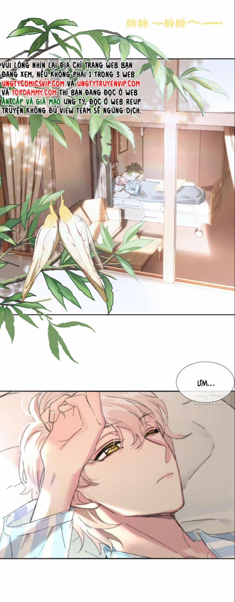 Sau Khi Xuyên Thành Pháo Hôi Tôi Chỉ Muốn Ly Hôn 1 trang 2