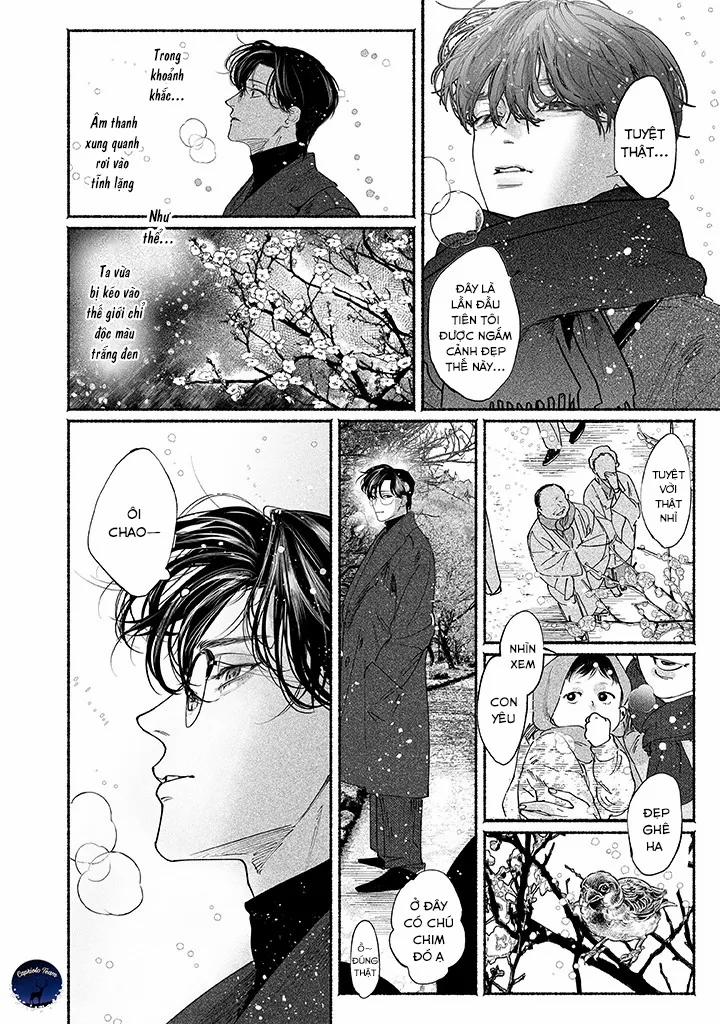 Say Giấc Trên Thuyền Giấy 7 trang 21