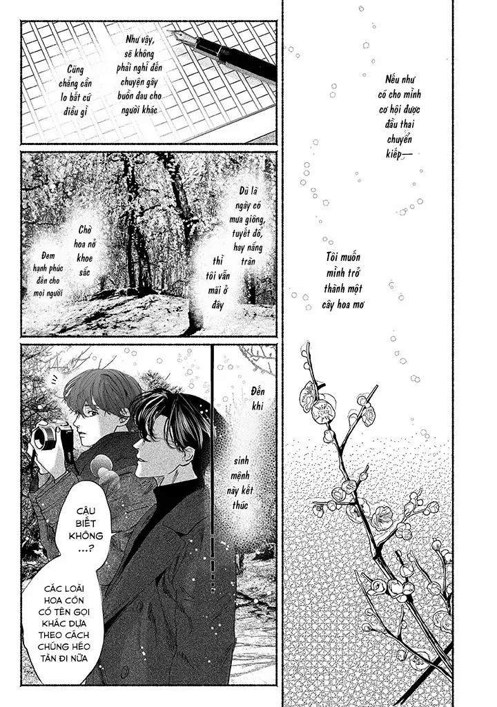 Say Giấc Trên Thuyền Giấy 7 trang 22