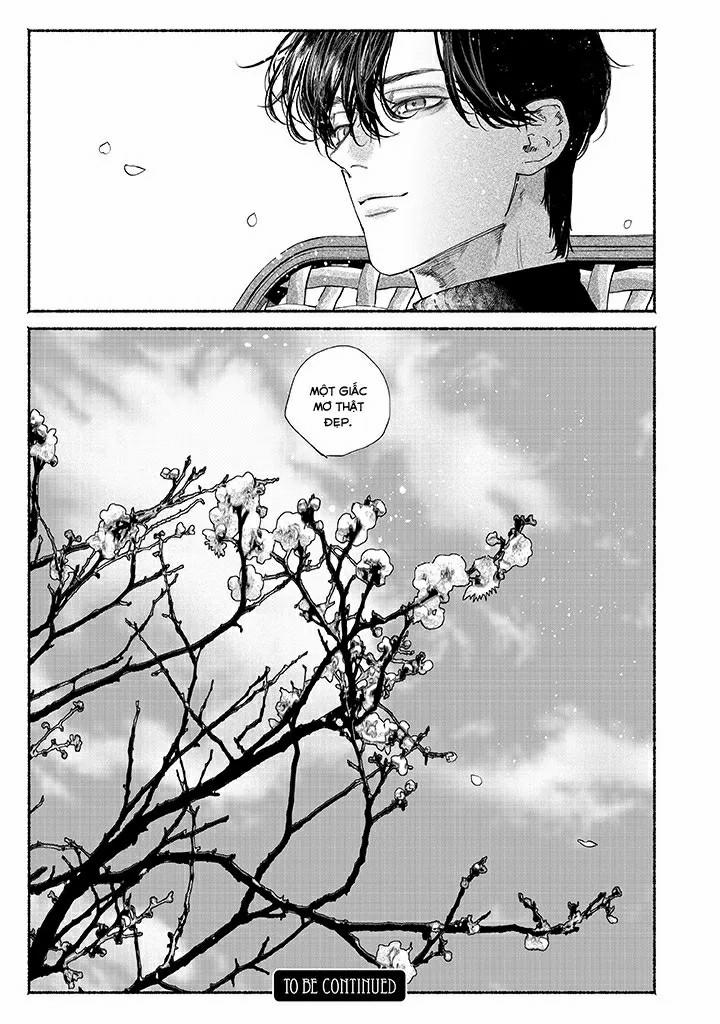 Say Giấc Trên Thuyền Giấy 8 trang 50