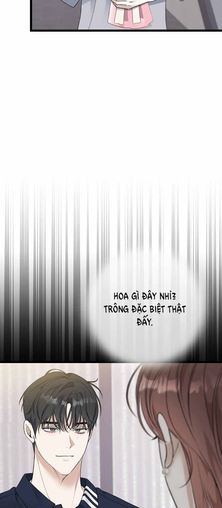 Say Nắng 43.1 trang 10