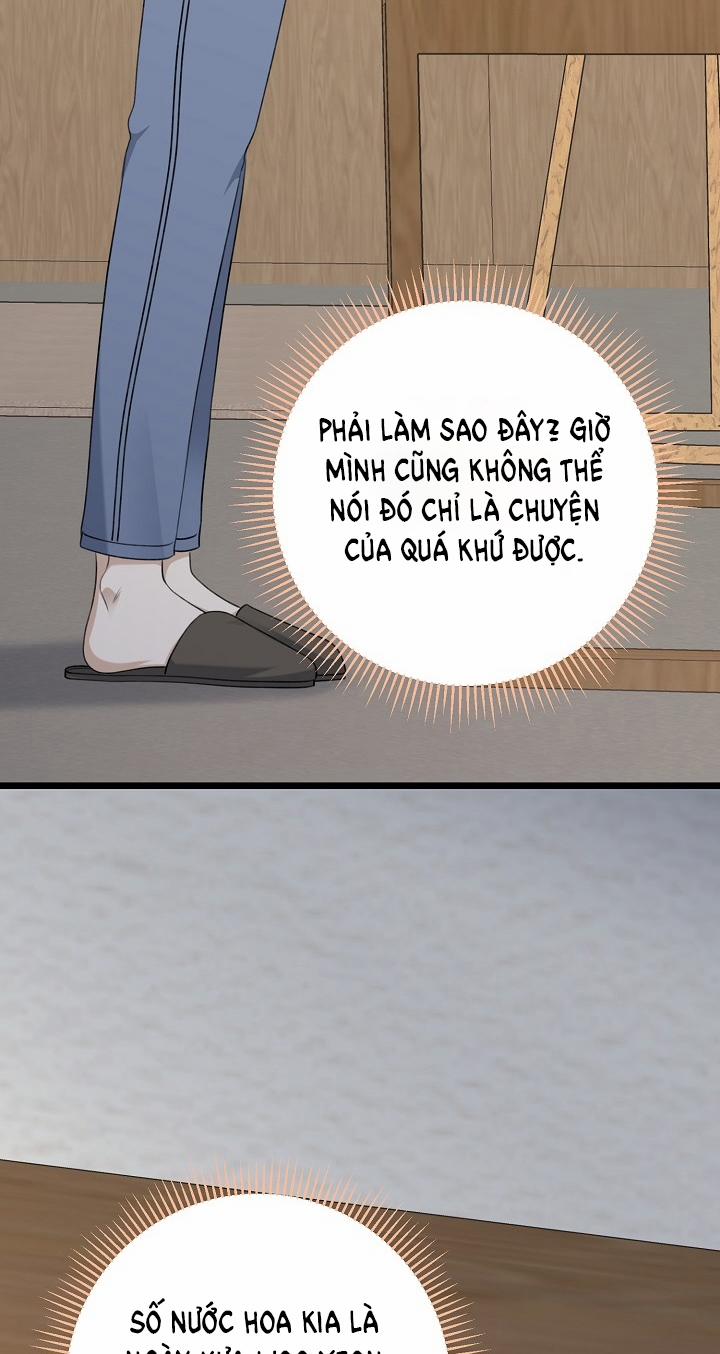 Say Nắng 44.2 trang 17