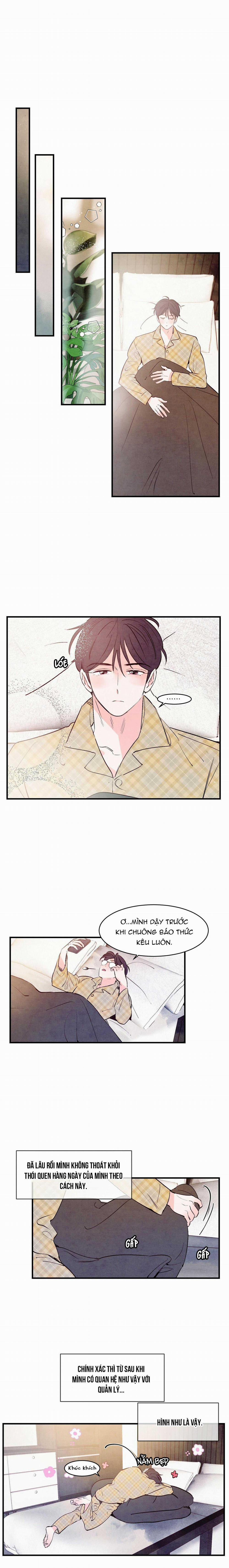 Say Tình 14 trang 0