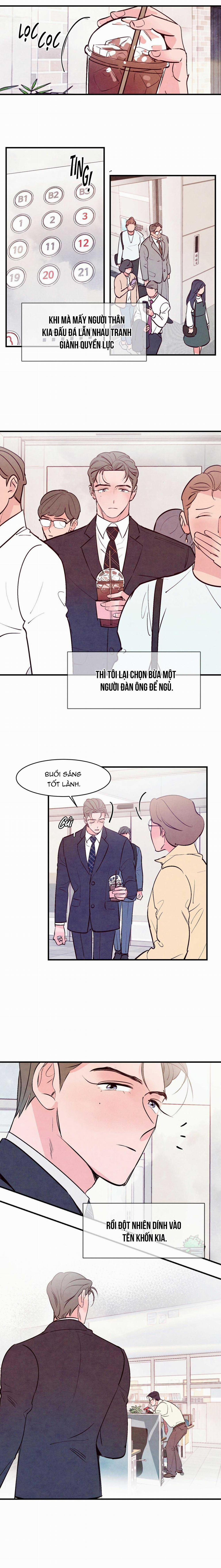 Say Tình 19 trang 13