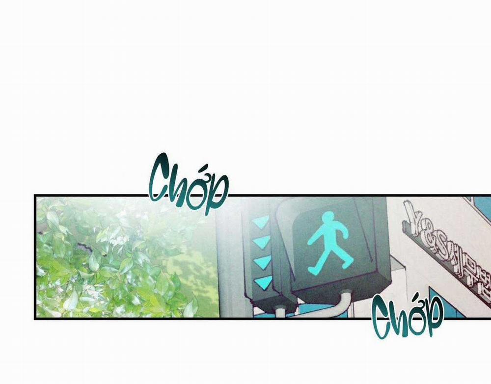 Say Tình 65 trang 21