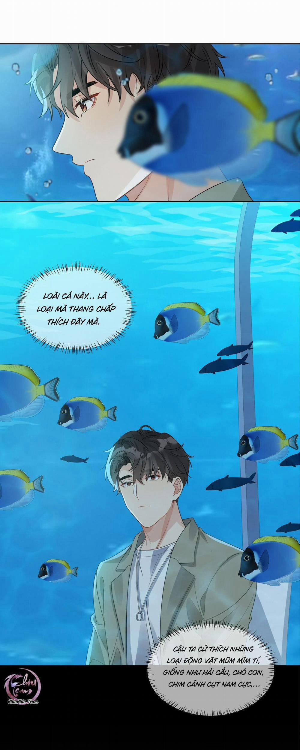 Scandal Ngây Thơ 41 trang 3