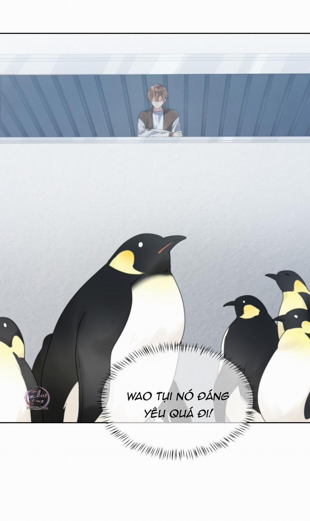 Scandal Ngây Thơ 42 trang 22