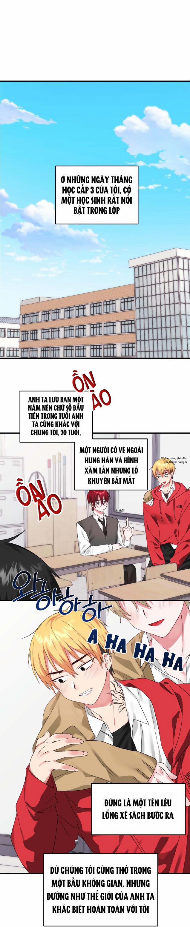 Sẽ thêm chim vào sớm thôi! 1 trang 0