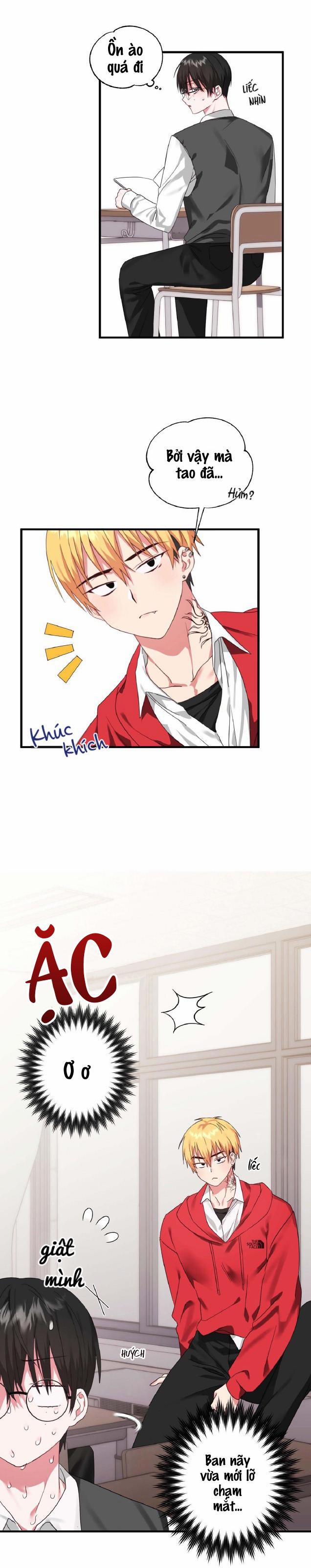 Sẽ thêm chim vào sớm thôi! 1 trang 1