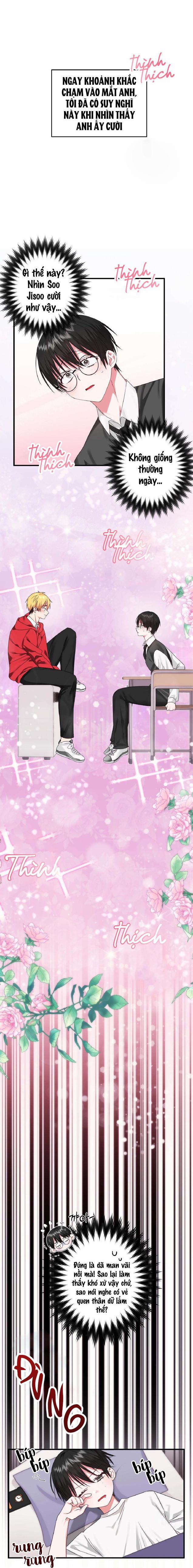 Sẽ thêm chim vào sớm thôi! 1 trang 3