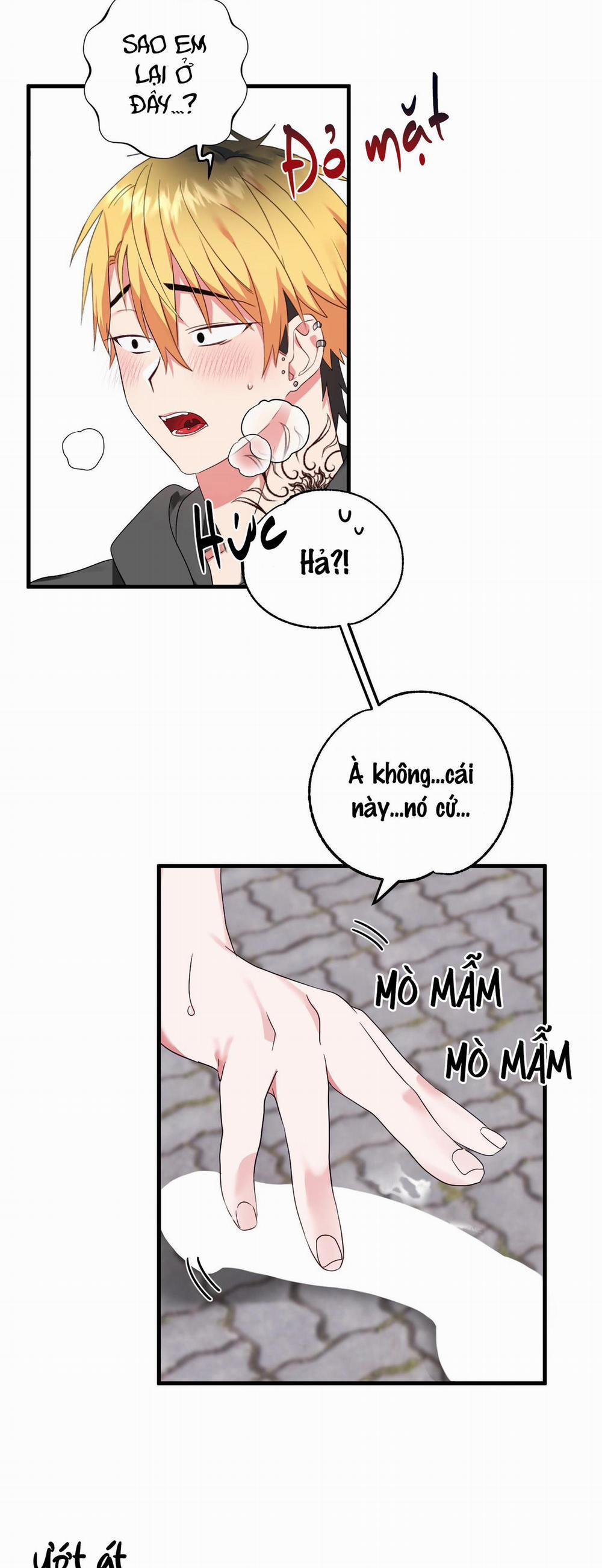 Sẽ thêm chim vào sớm thôi! 2 trang 36