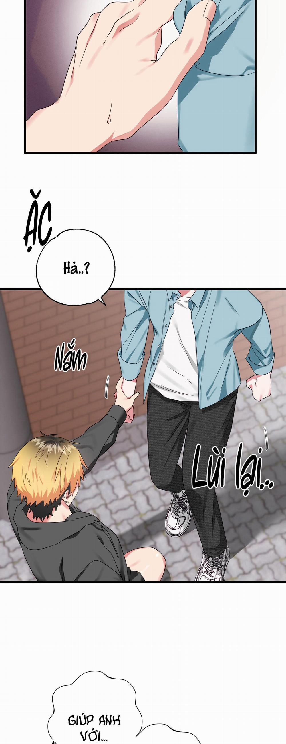 Sẽ thêm chim vào sớm thôi! 2 trang 44