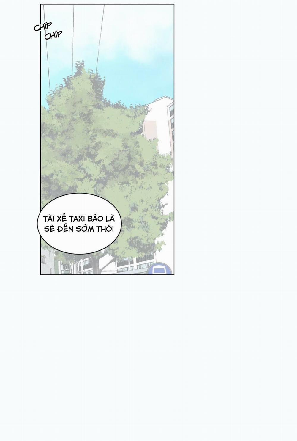 Seeing Double 23 trang 1