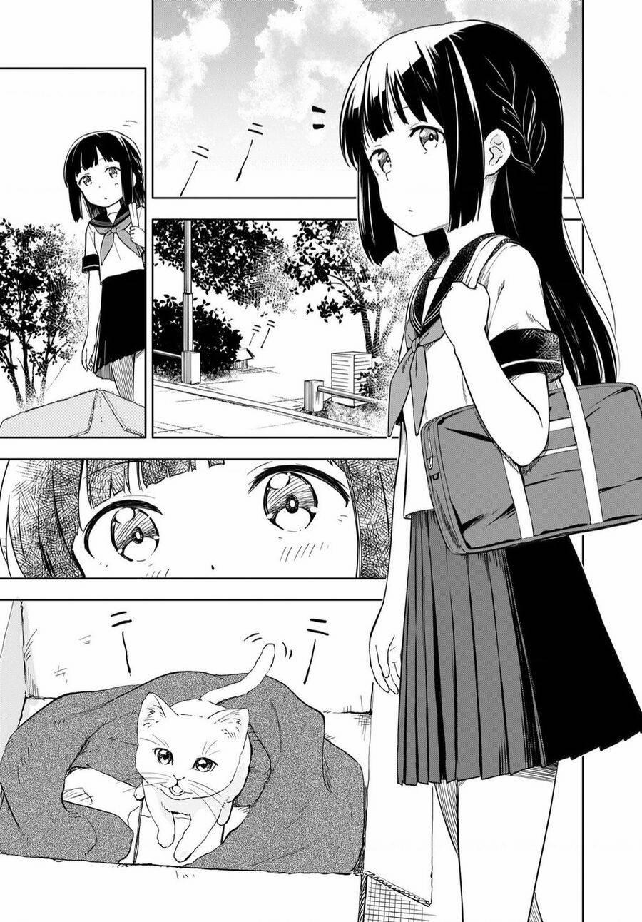Seishun Buta Yarou Wa Yumemiru Shoujo No Yume Wo Minai 1 trang 5