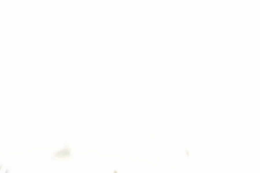 Seoul Tử Linh Sư 76.5 trang 22