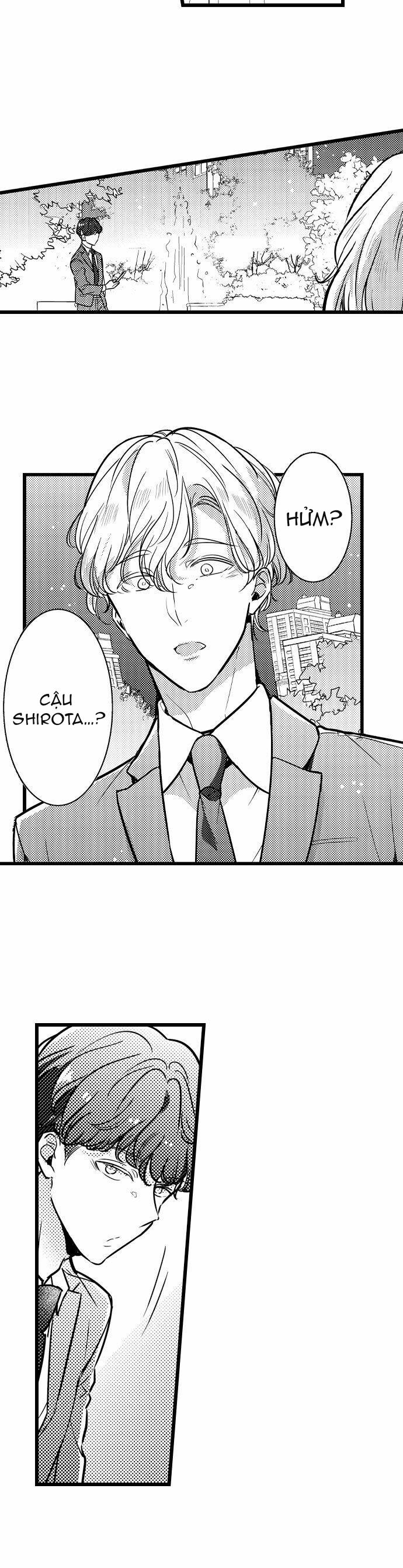 Sếp Ga Lăng Của Tôi 81.2 trang 1