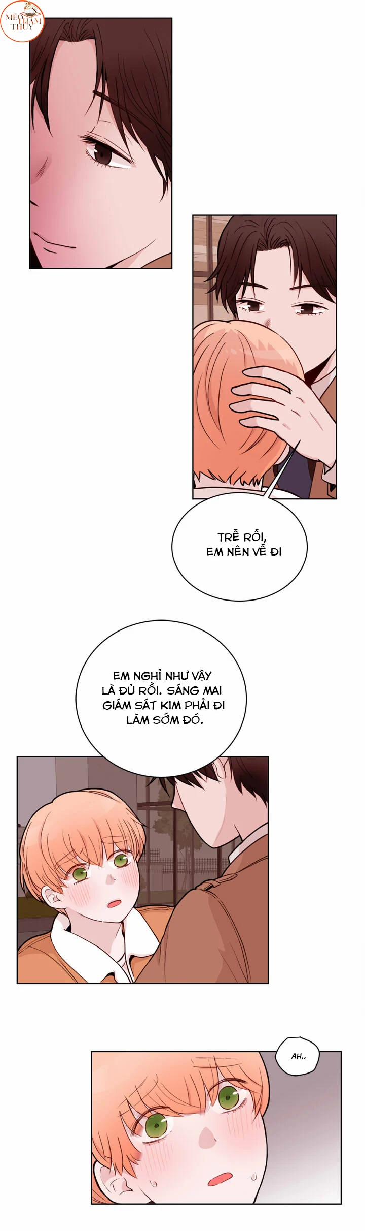 Sếp Tôi Là Tên Bạo Dâm 18 trang 28