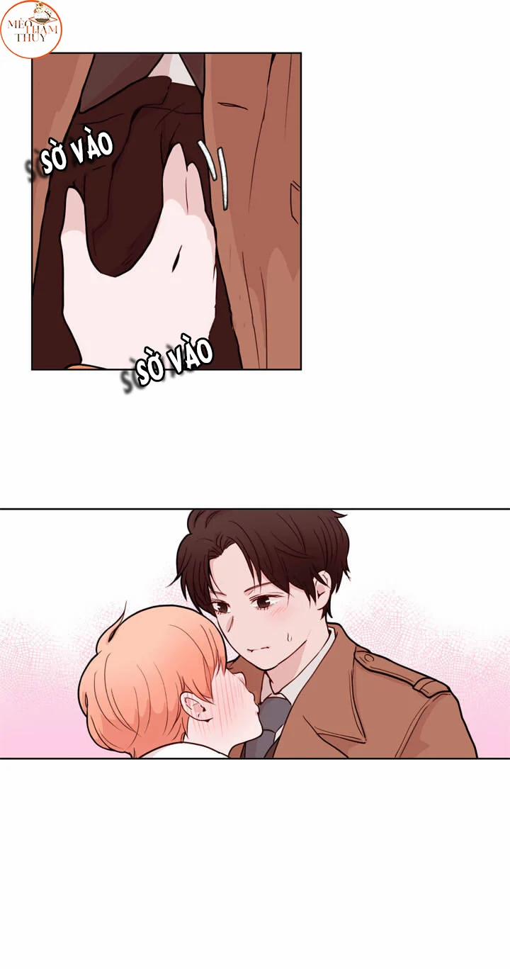 Sếp Tôi Là Tên Bạo Dâm 18 trang 32