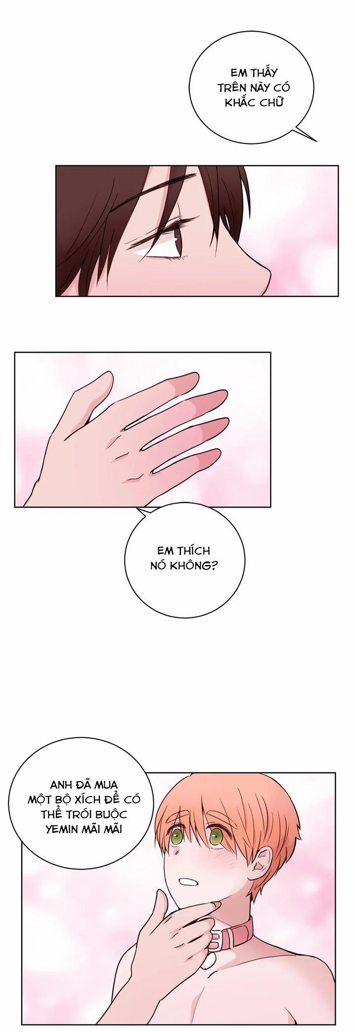 Sếp Tôi Là Tên Bạo Dâm 19 trang 15