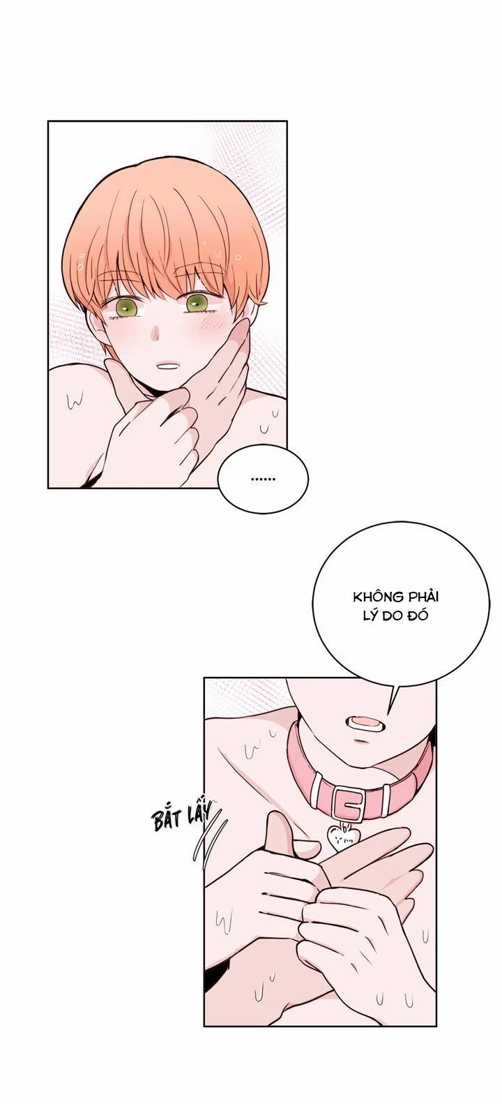 Sếp Tôi Là Tên Bạo Dâm 19 trang 17