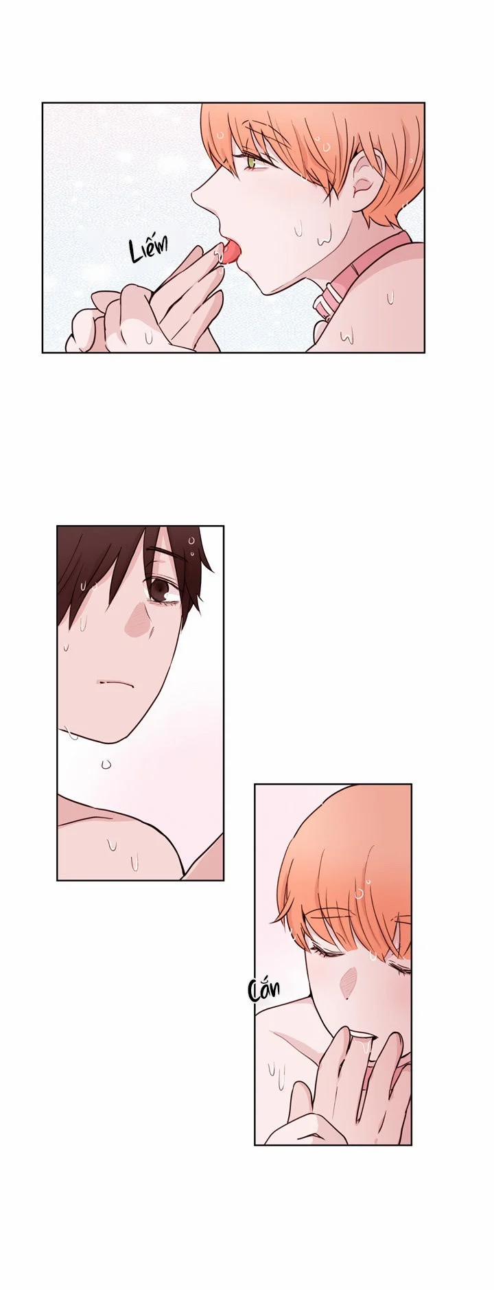 Sếp Tôi Là Tên Bạo Dâm 19 trang 19