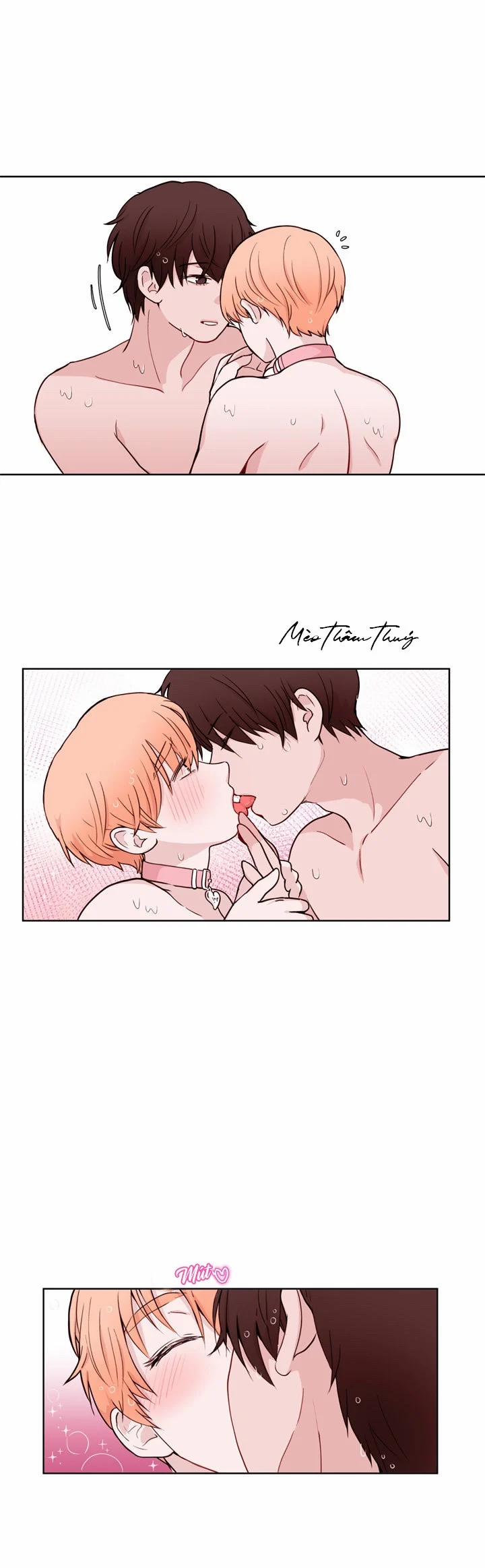 Sếp Tôi Là Tên Bạo Dâm 19 trang 20