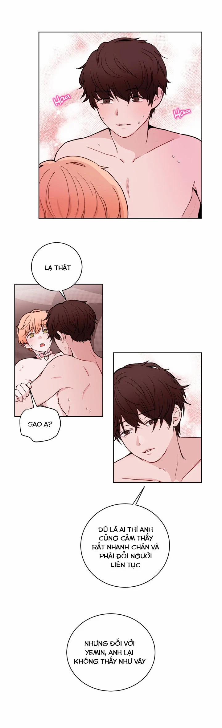 Sếp Tôi Là Tên Bạo Dâm 19 trang 26